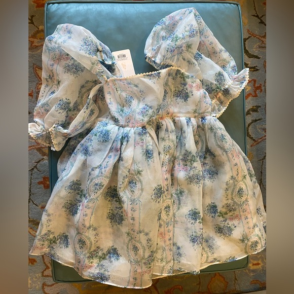 Selkie Puff Dress - Picture 1 of 4